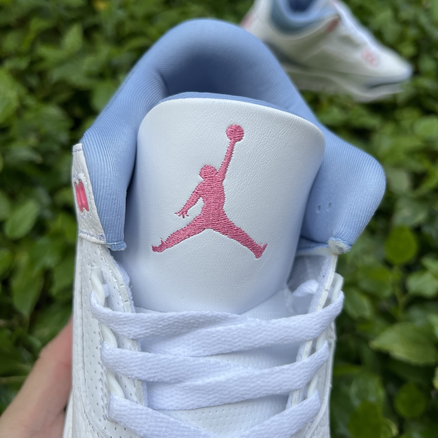 Nike Jordan shoe